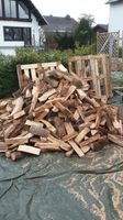 Kaminholz/Brennholz Buche/Eiche für den nächsten Winter von Holz Nordrhein-Westfalen - Balve Vorschau