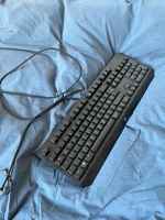 Razor Blackwidow Gaming Tastatur Köln - Lindenthal Vorschau