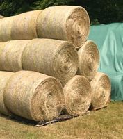 Heu Heuballen Rundballen Ballen Durchmesser 140 cm Rheinland-Pfalz - Brachtendorf Vorschau