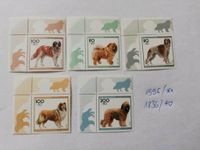 Förderung Sporthilfe 10 DM & Zertifikat Hunde Briefmarke Zusammen Elberfeld - Elberfeld-West Vorschau