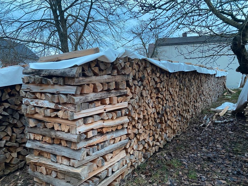 Brennholz Kiefer regional ofenfertig in Höchstadt