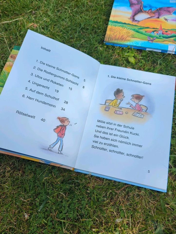 Bücher 1 Klasse 4 stück in Königslutter am Elm