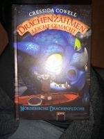 "Drachen zähmen leicht gemacht", Buch Niedersachsen - Schöningen Vorschau