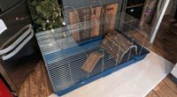 Kaninchen Käfig 3 Wochen alt mit Zubehör Nordrhein-Westfalen - Herten Vorschau
