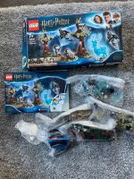 Lego Harry Potter 75945 vollständig Niedersachsen - Rotenburg (Wümme) Vorschau