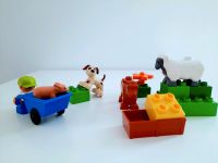 Lego Duplo 4972 Bauernhoftiere Junge Schaf Kuh Hund Schubkarre Schleswig-Holstein - Husby Vorschau