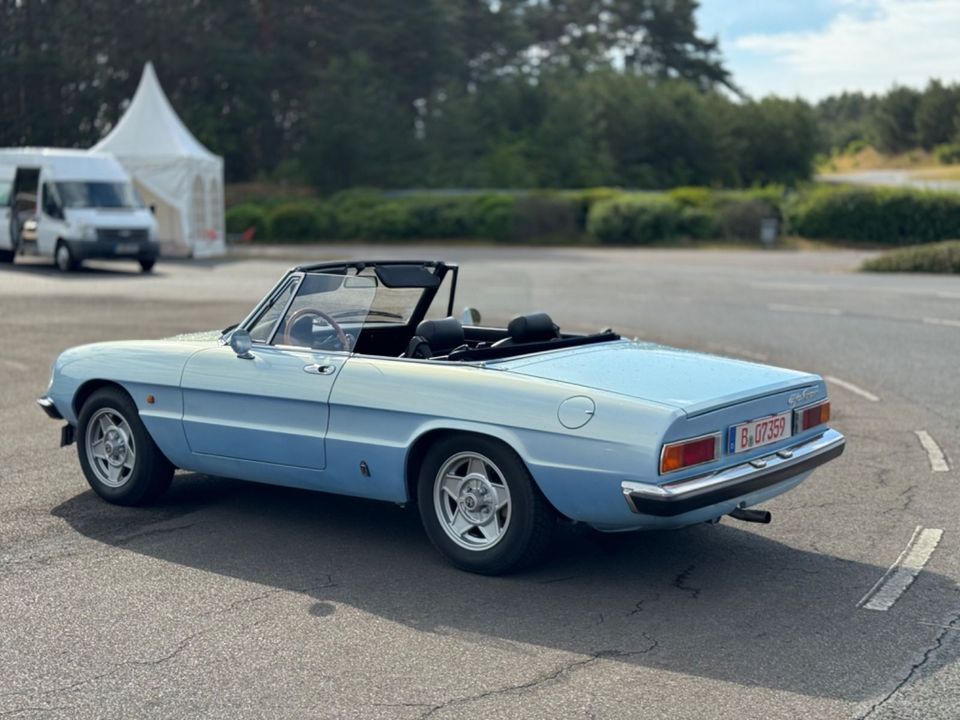 Alfa Romeo Spider in Schöneiche bei Berlin