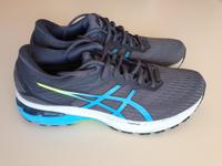 Asics GT-2000 Laufschuhe Größe 44,5 1x getragen sehr gut Chemnitz - Kaßberg Vorschau