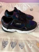 Adidas Falcon Köln - Zollstock Vorschau