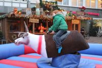 Rentier Rodeo zur Weihnachtsfeier mieten leihen Niedersachsen - Vechta Vorschau