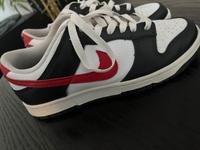 Nike Dunk Low Retro Saarland - St. Ingbert Vorschau
