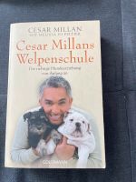 César Millans Welpenschule, Hundeerziehung Baden-Württemberg - Eberdingen Vorschau