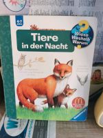 Tiere in der Nacht Buch Brandenburg - Angermünde Vorschau