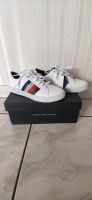 NEU,, Tommy Hilfiger Schuhe Sneaker gr 36 Rheinland-Pfalz - Rennerod Vorschau