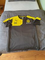 BVB Trainingsshirt Größe L Nordrhein-Westfalen - Menden Vorschau