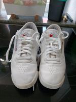 reebook Classic Damenschuh Gr. 43 Baden-Württemberg - Reutlingen Vorschau