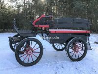 NEU Kutsche Fahrschulwagen 015e Pferdekutsche Freizeitkutsche Baden-Württemberg - Schwäbisch Hall Vorschau