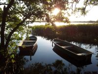 Ferienhaus LastMinute frei am See mit Boot nahe Ostsee Schwerin Parchim - Landkreis - Raben Steinfeld Vorschau