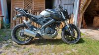 Yamaha MT-125 ABS Bayern - Langquaid Vorschau