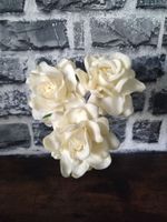 Magnolia - Gardenia Bundle - Fixer Upper - Chip and Jo Gaines Mecklenburg-Vorpommern - Anklam Vorschau