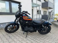 Harley Davidson Iron 1200 Sportster Billiard Blue Nordrhein-Westfalen - Bergisch Gladbach Vorschau