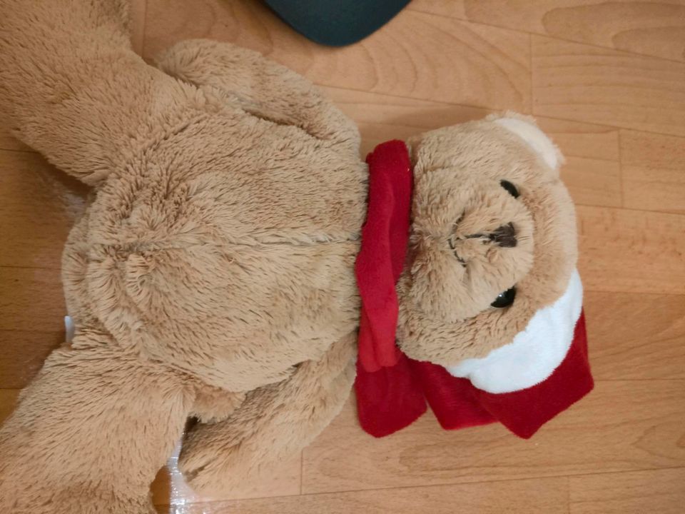 Teddybär 。 in Leipzig