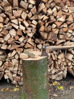 Hauklotz Buche Holzstehle Nordrhein-Westfalen - Havixbeck Vorschau