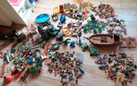 Playmobil-Konvolut Nordrhein-Westfalen - Salzkotten Vorschau