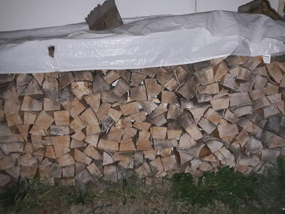 Erle/Kastanie, Brennholz, Holz, Scheitholz 30-33cm (je Raummeter/ in Herxheim bei Landau/Pfalz