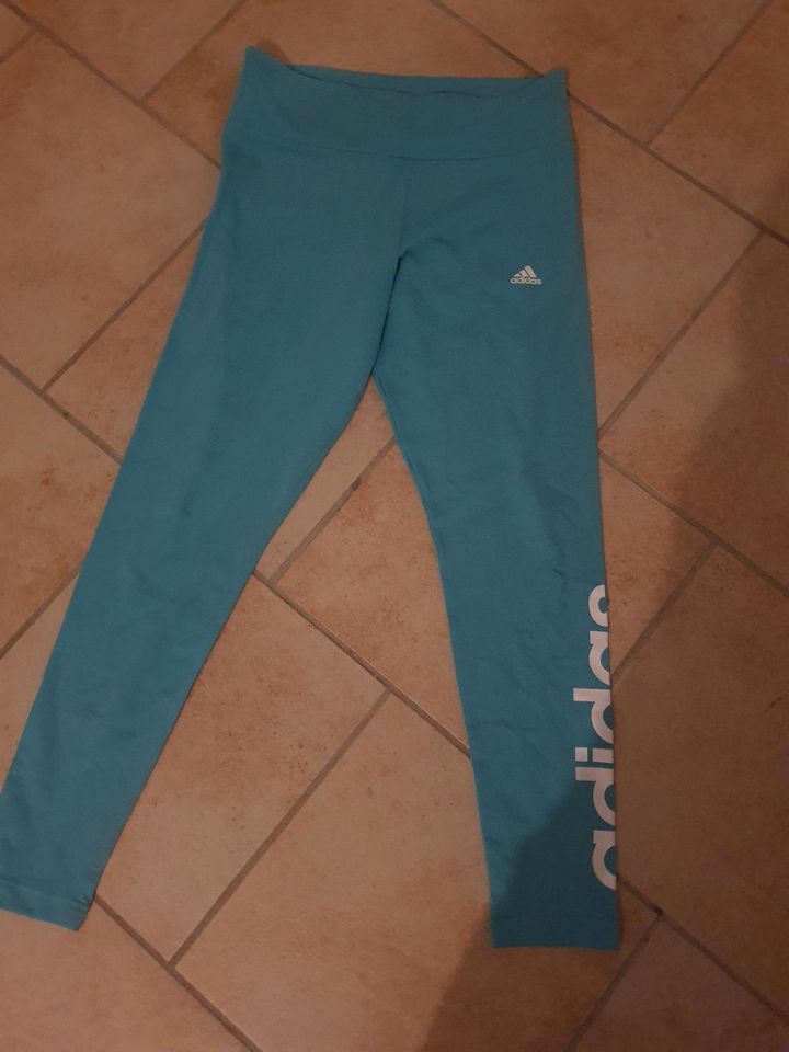 Adidas Sportleggins NEU in Spay