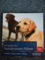 Der große BLV Hunderassenführer Schleswig-Holstein - Gettorf Vorschau