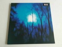 Vinyl Sammlung Hier LP Flying Saucer Attack / Further ( UK 1994) Hessen - Mühlheim am Main Vorschau