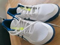 Asics Hallenschuhe Gr 46 Nordrhein-Westfalen - Herne Vorschau