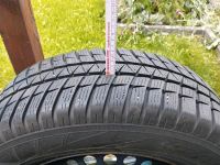 Winterreifen M+S 215/70 R16 100T Schwerin - Altstadt Vorschau