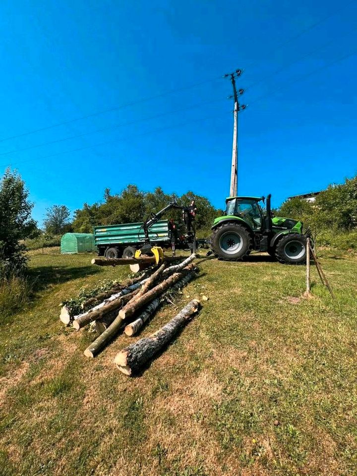 ❗️Häckselarbeiten ❗️ Holz/Entsorgung/Hecken/Forst/Mulchen in Tholey