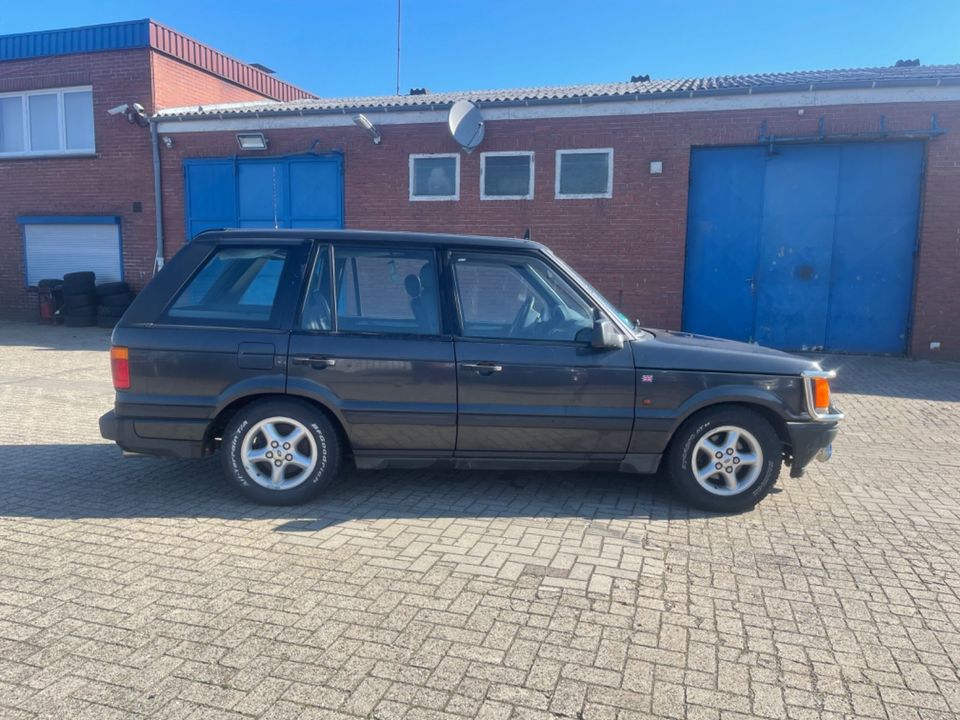 Land Rover Range Rover 2,5 DSE*Leder*Automatik* in Nordhorn