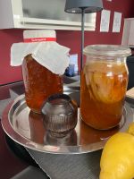 Kombucha Scoby Fairment mit Ansatzflüssigkeit Versand gratis Hessen - Aarbergen Vorschau