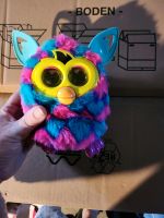 Furby mit funktion Bayern - Straubing Vorschau