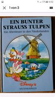 Disney Weltenbummler Abenteuer in den Niederlanden Nordrhein-Westfalen - Bad Laasphe Vorschau