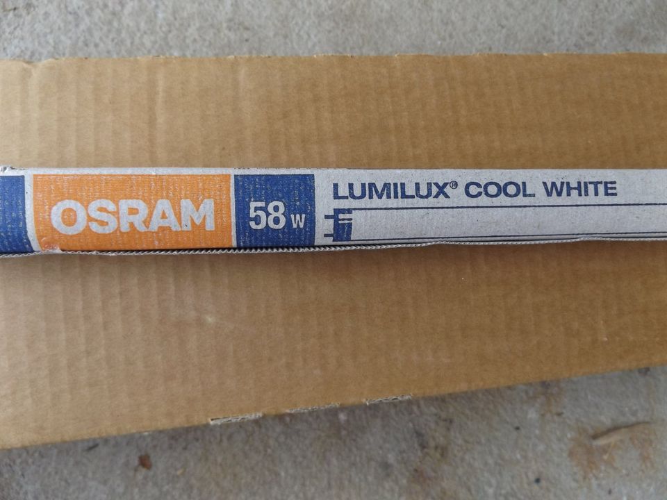 Osram Lumilux CoolWhite L58W / 840 1,5 Meter T26 NEU OVP in Freiburg im Breisgau