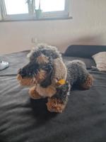 Steiff Hund Baden-Württemberg - Rechberghausen Vorschau