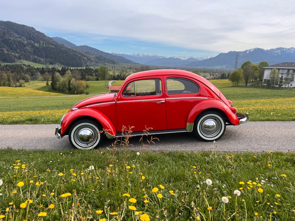 Volkswagen Käfer Export Ovali 1957, Winker, mit Papp Brief in Bad Tölz