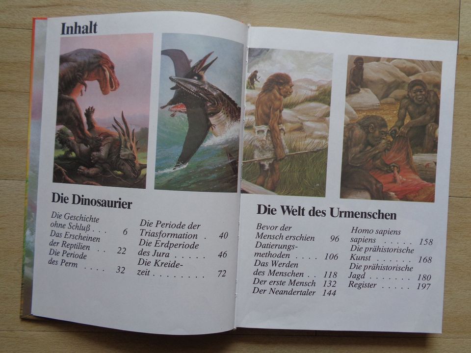 Buch, Die Dinosaurier, Tierbuch, Kinderbuch,Tier und Natur in Auerbach (Vogtland)
