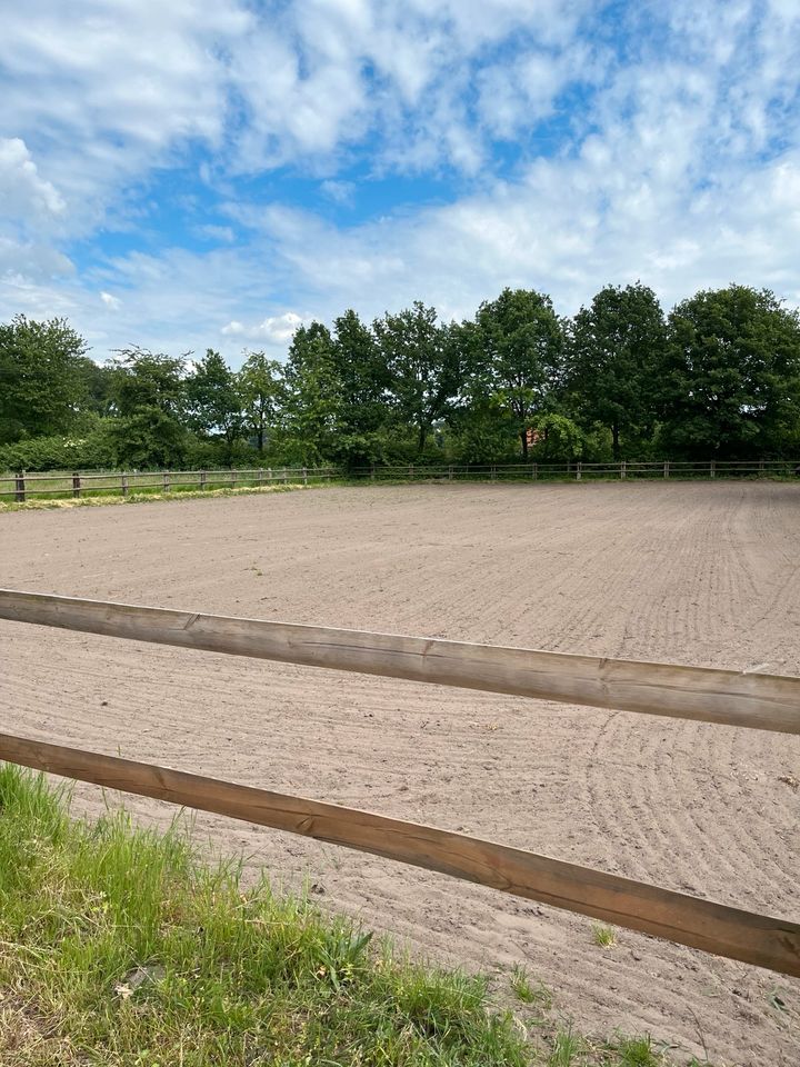 Pferdehof/kleine Reitanlage im Münsterland in Horstmar