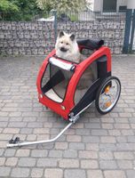Trixie Hunde Fahrrad Anhänger Buggy L 30kg + Liegematte Berlin - Zehlendorf Vorschau
