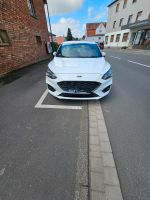 Ford focus st line. 1 liter ecobost benzin Hessen - Niddatal Vorschau