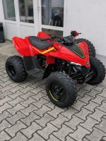 ❗Kinderquad❗CFmoto CForce110 Quad / ATV / Spielzeug Kr. Altötting - Emmerting Vorschau