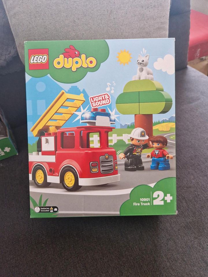 Lego Duplo in Dresden