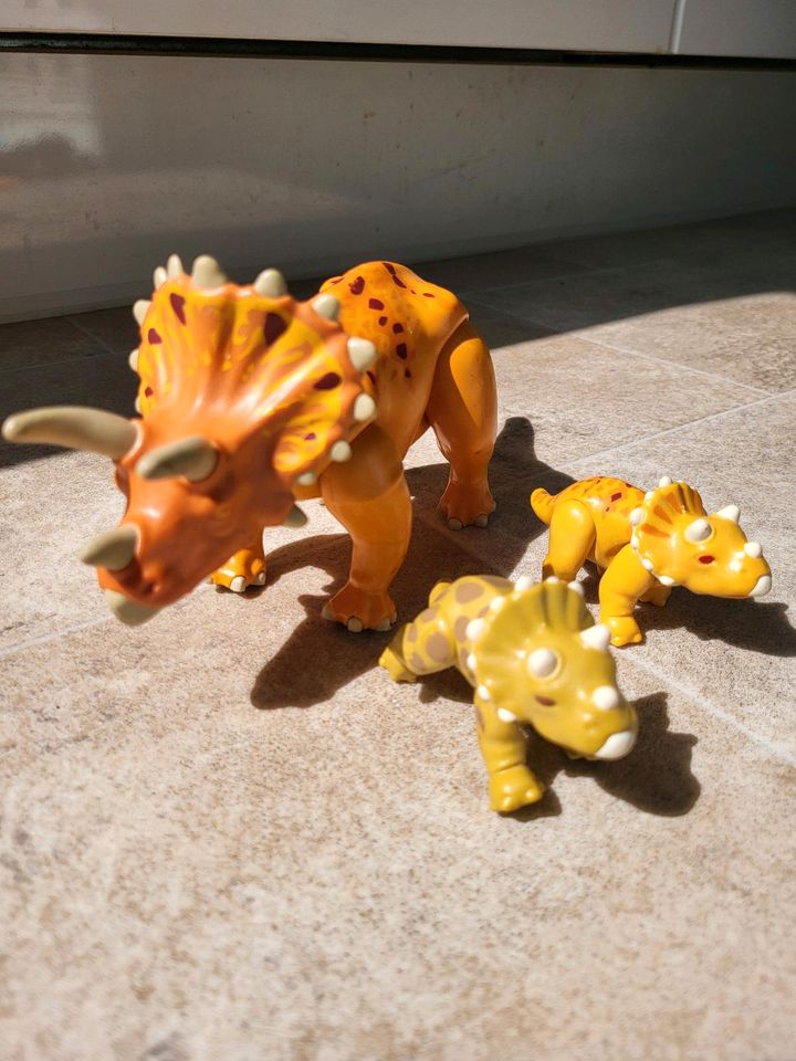 Triceratops Playmobil in Bielefeld