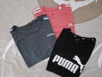 3 Kurzarm  Sportshirts /Tshirts Adidas & Puma Sachsen-Anhalt - Gräfenhainichen Vorschau